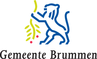 Logo van Brummen