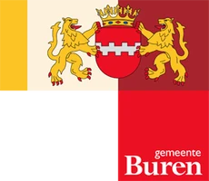 Logo van Buren